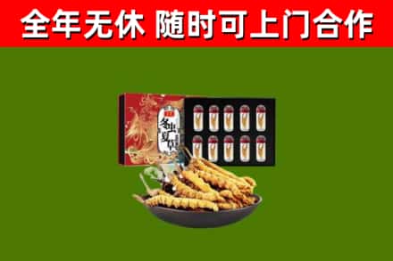 化隆回收冬虫夏草价格
